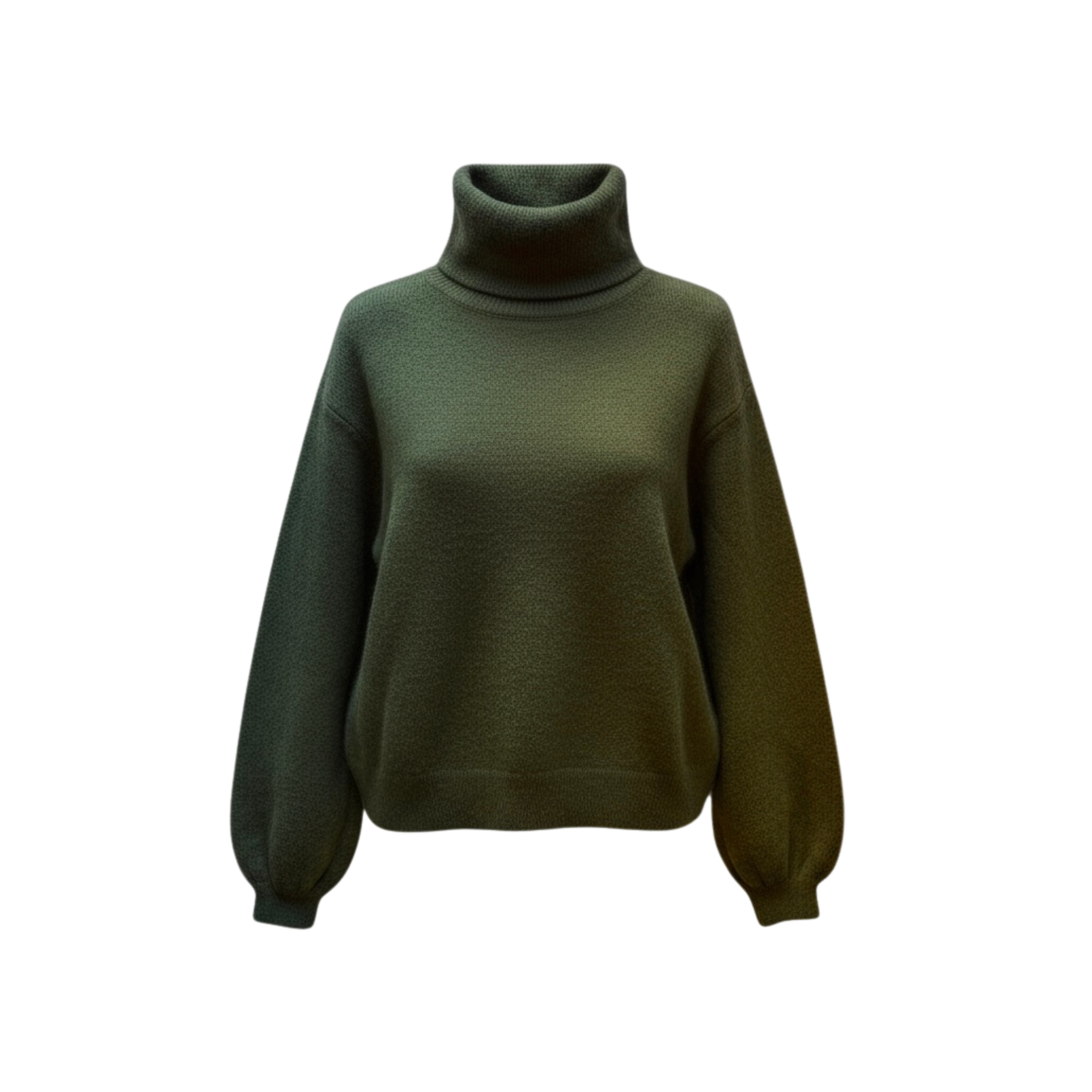 Pull col roulé Daisy