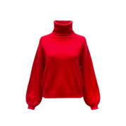 Pull col roulé Daisy