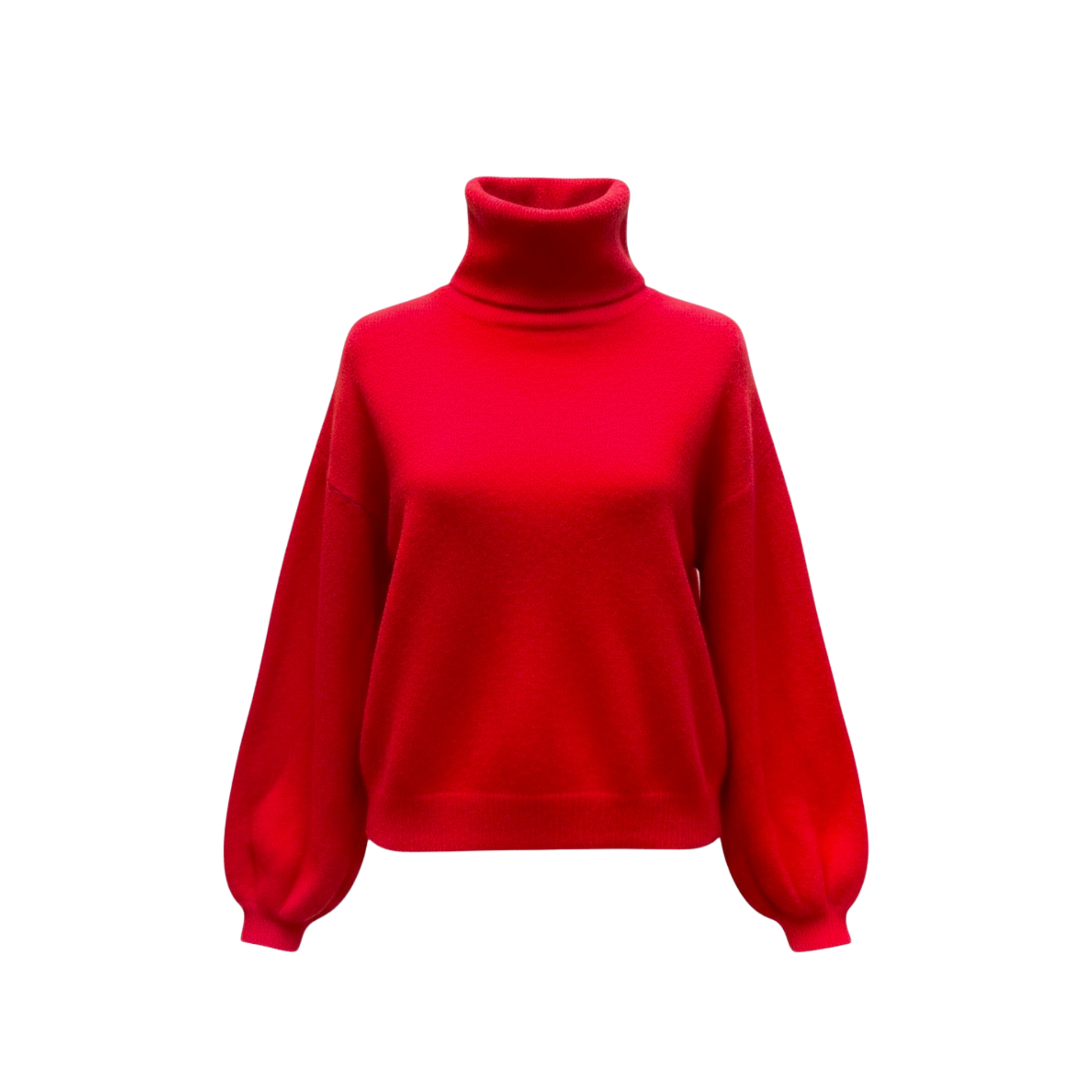 Pull col roulé Daisy