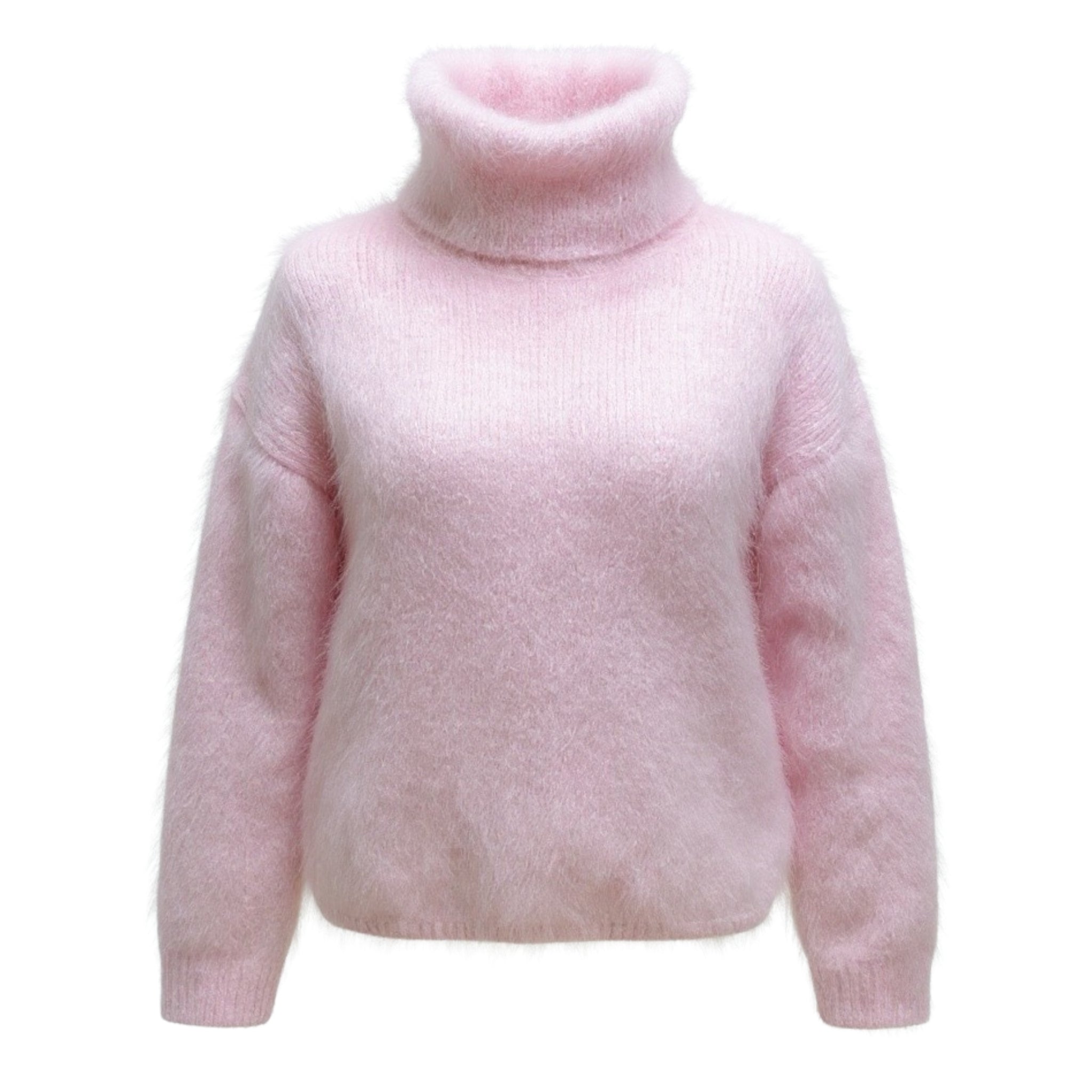 Pull col roulé Léopold