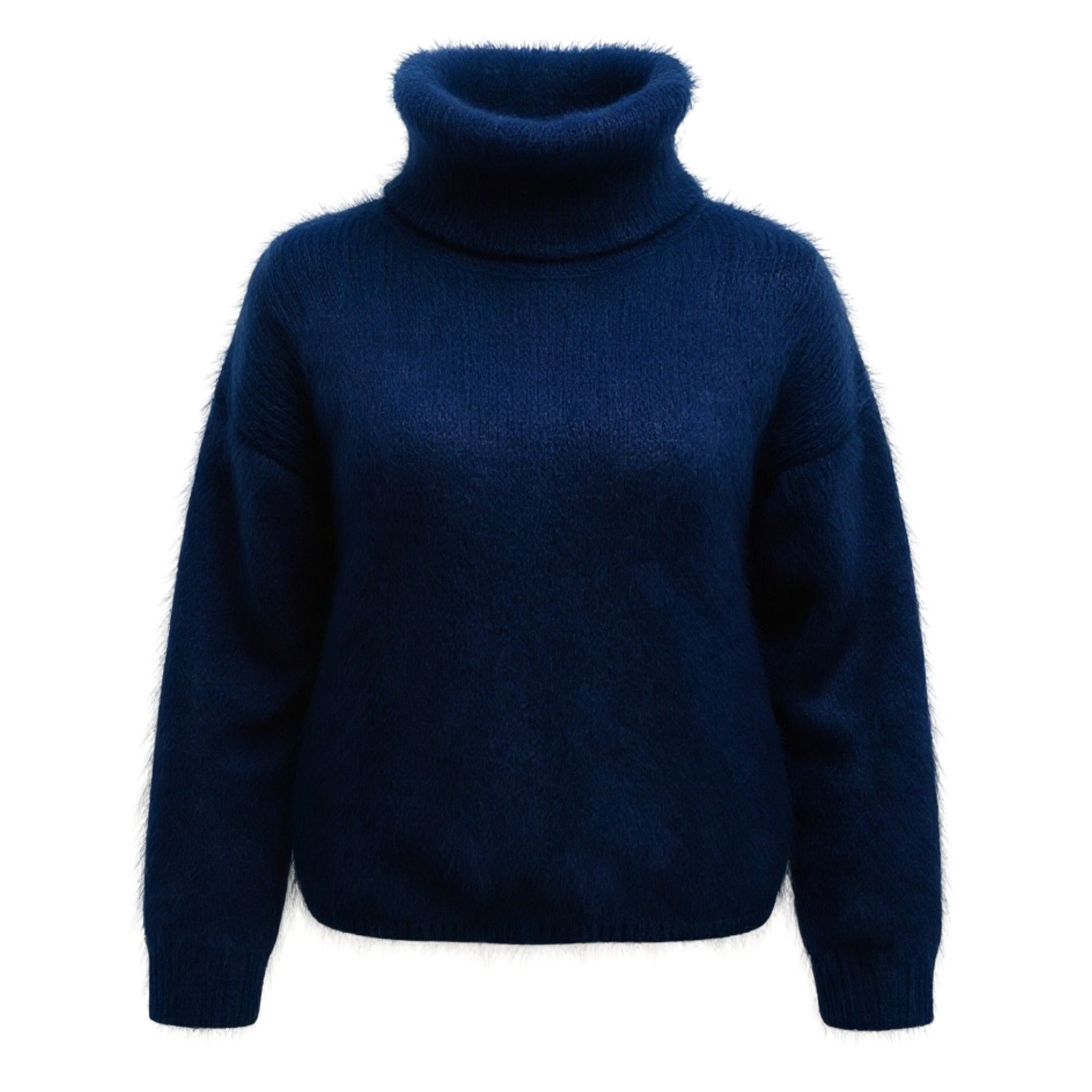 Pull col roulé Léopold