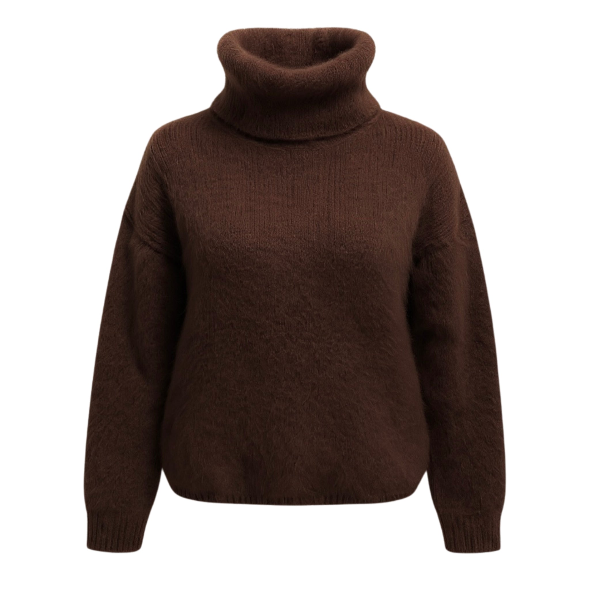 Pull col roulé Léopold