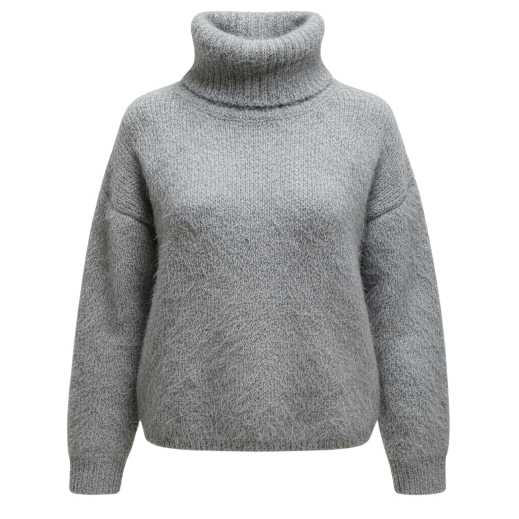 Pull col roulé Léopold