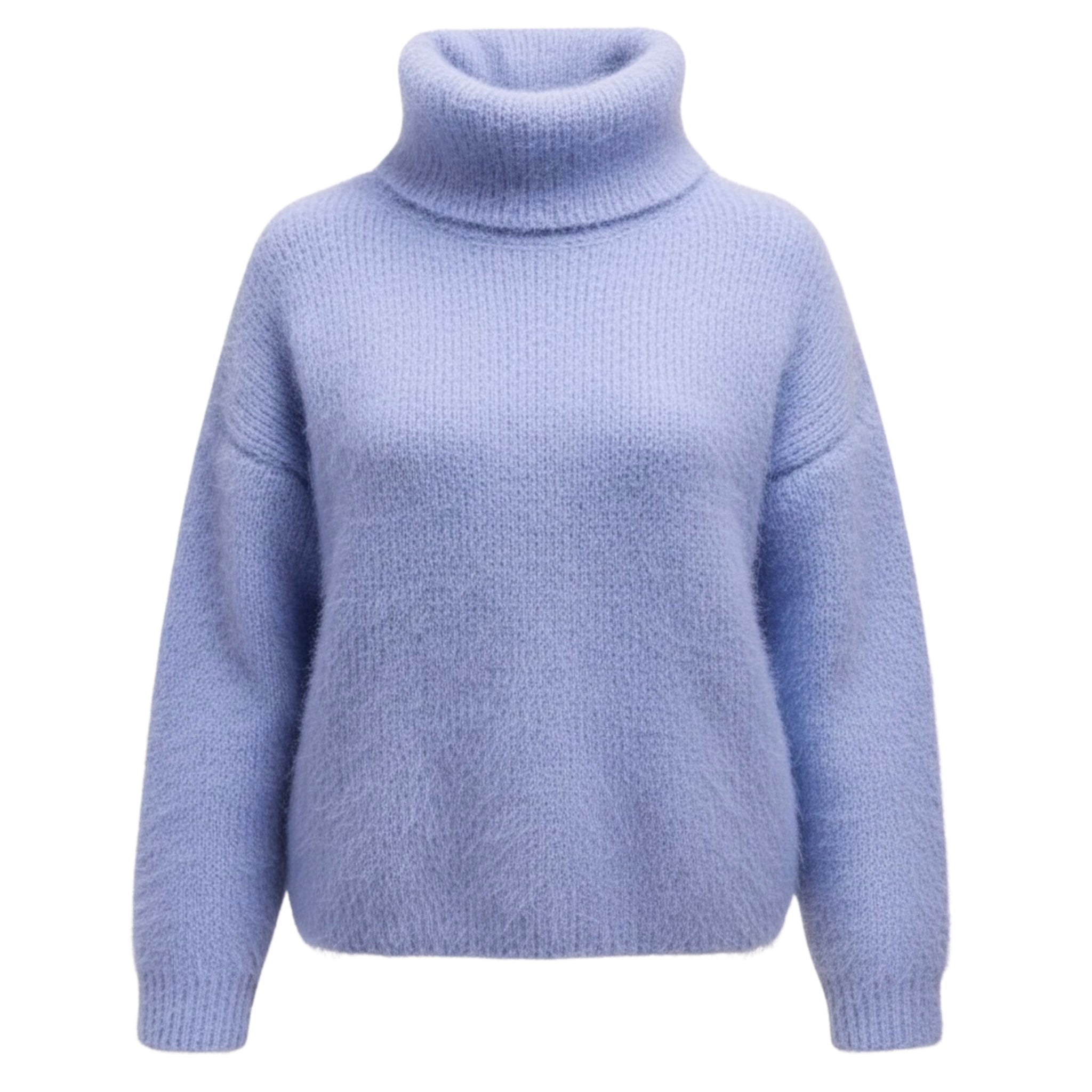 Pull col roulé Léopold