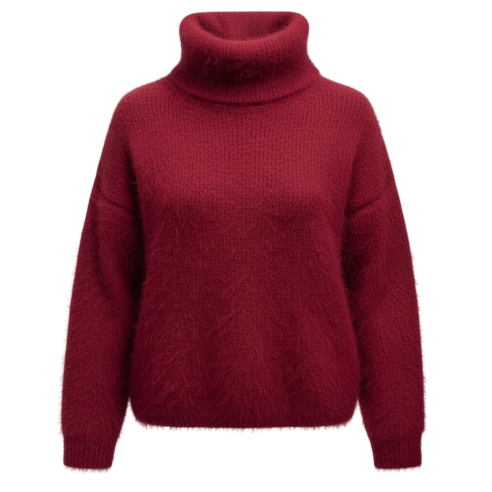 Pull col roulé Léopold