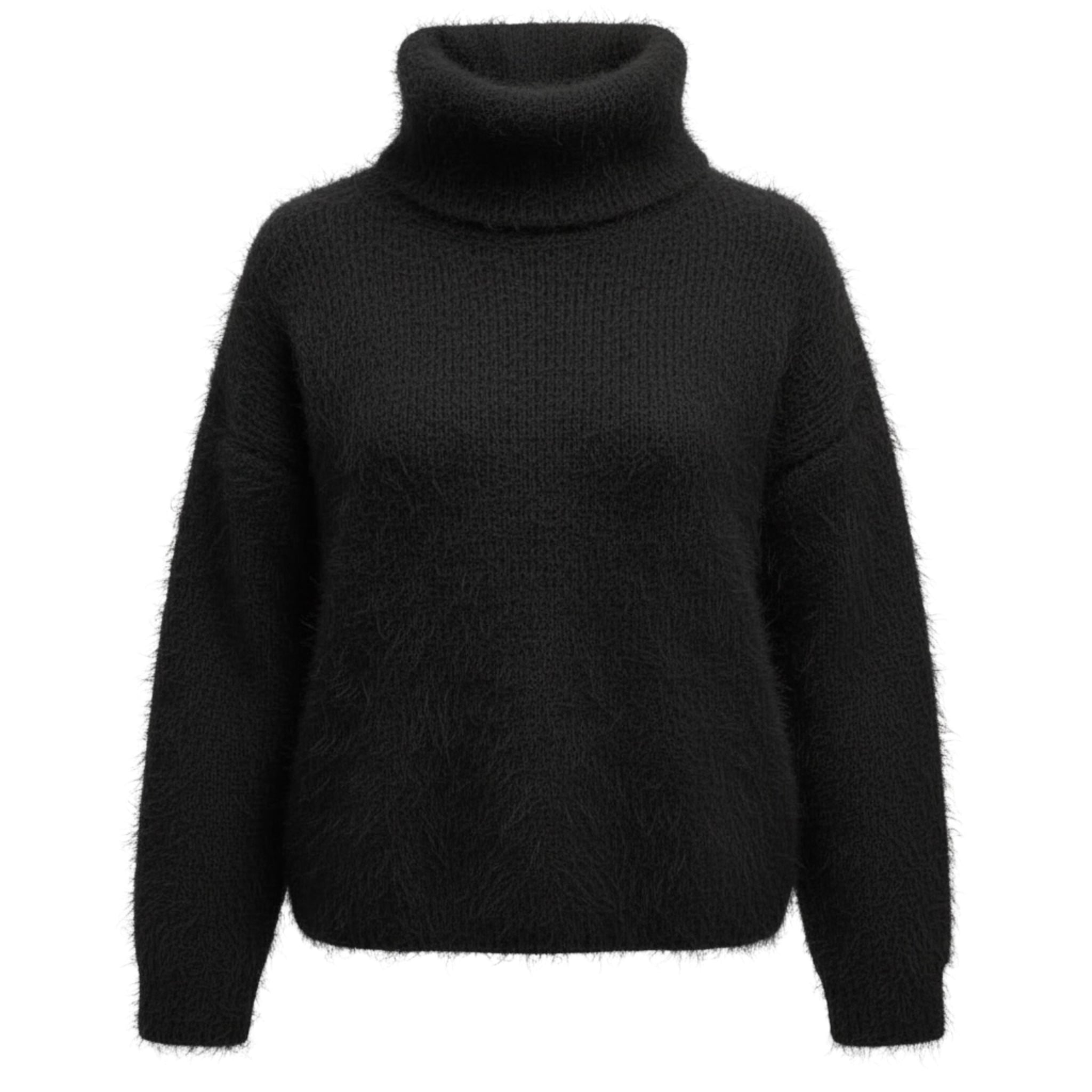 Pull col roulé Léopold