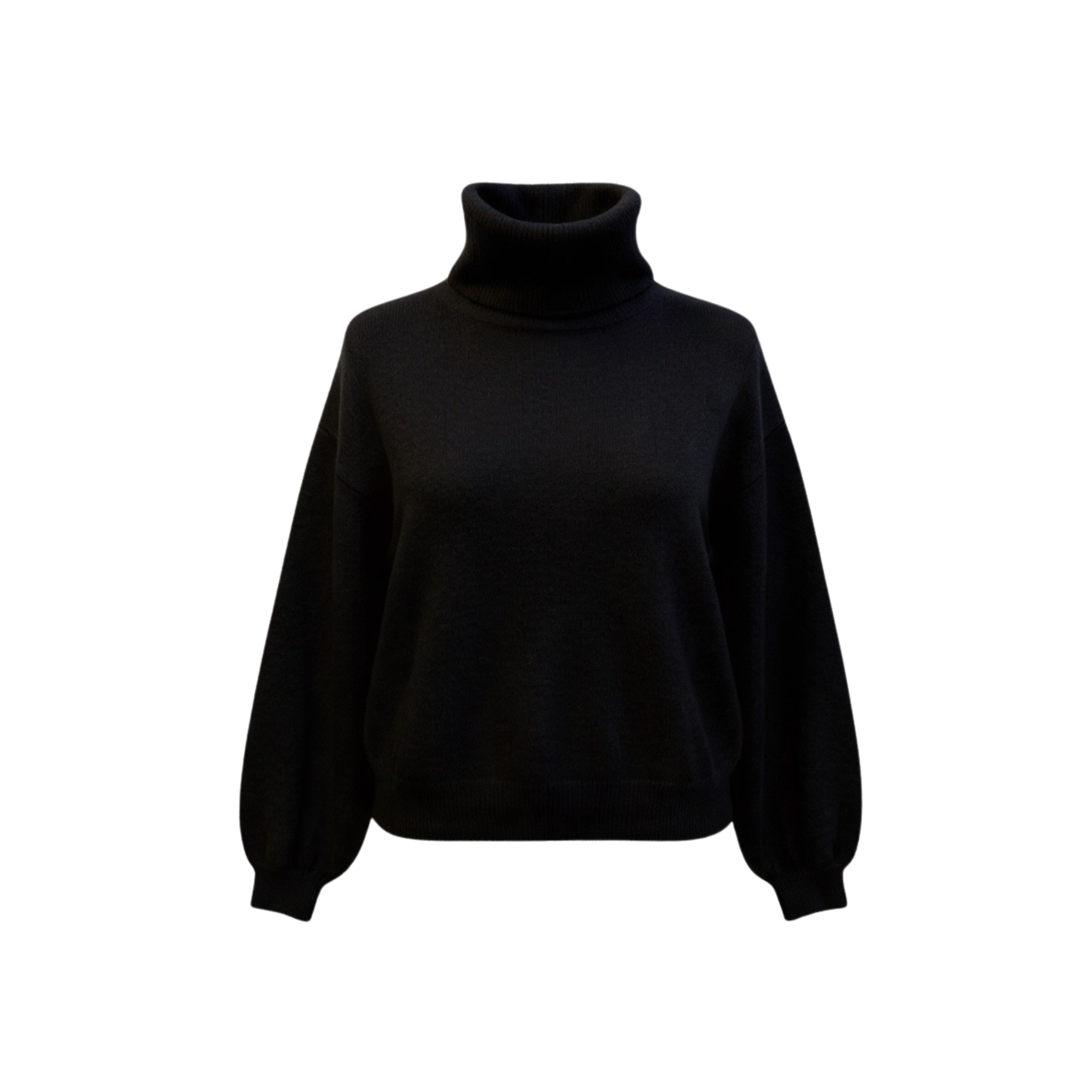 Pull col roulé Daisy