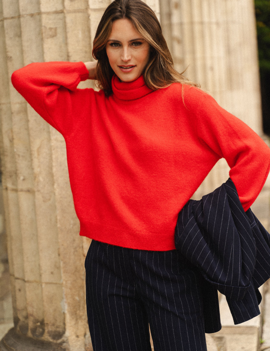 Pull col roulé Daisy