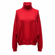 Pull col roulé Daisy