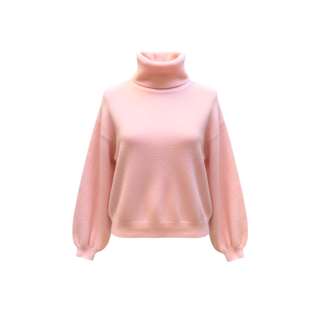 Pull col roulé Daisy