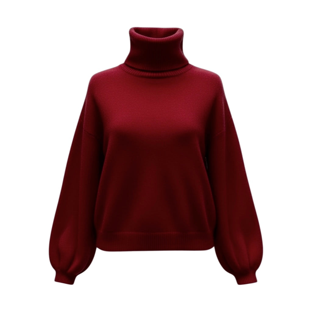 Pull col roulé Daisy