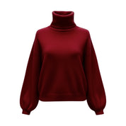 Pull col roulé Daisy