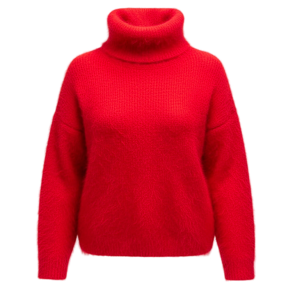 Pull col roulé Léopold